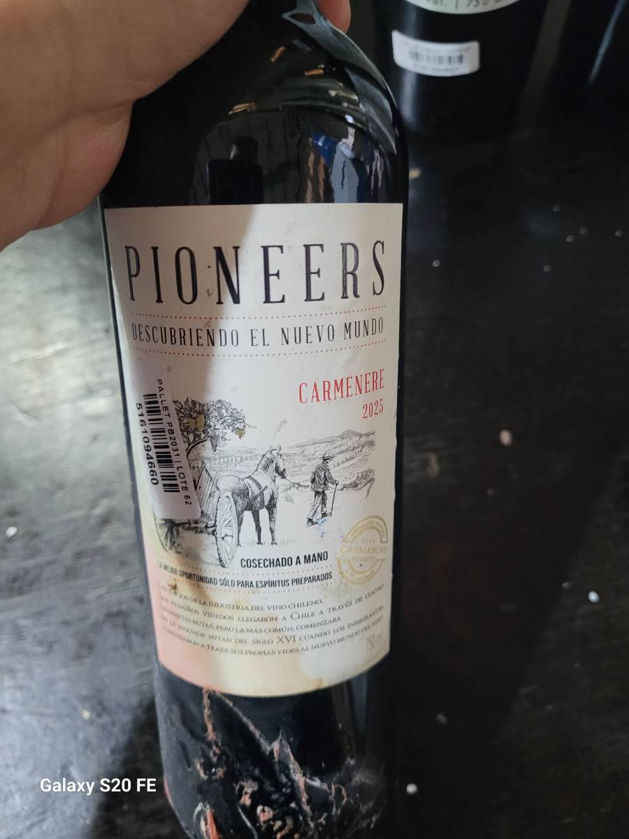 Vinho Tinto Pioneers Carménère 2025