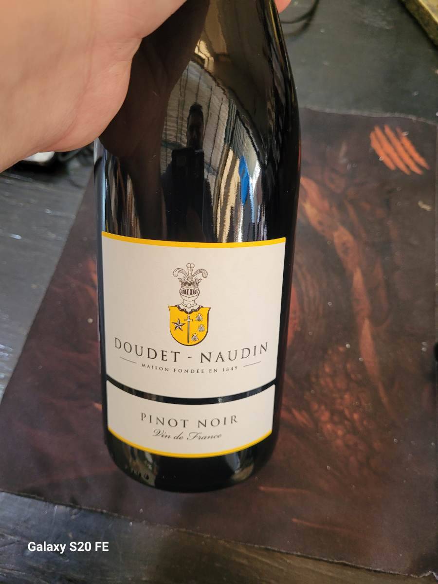 Vinho Pinot Noir