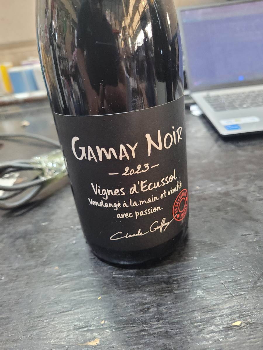 Vinho Gamay Noir 2023